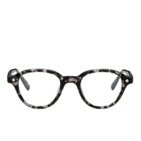 Tortoise Clair & Palladium