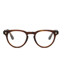 Medium Havana & 14K Gold
