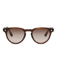 Medium Havana & 14K Gold/Gradient Light Brown