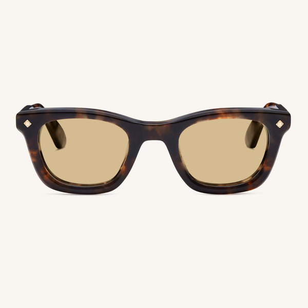 LG-FY-02-SUN-BRN