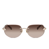 Medium Tortoise & Champagne/Gradient Brown