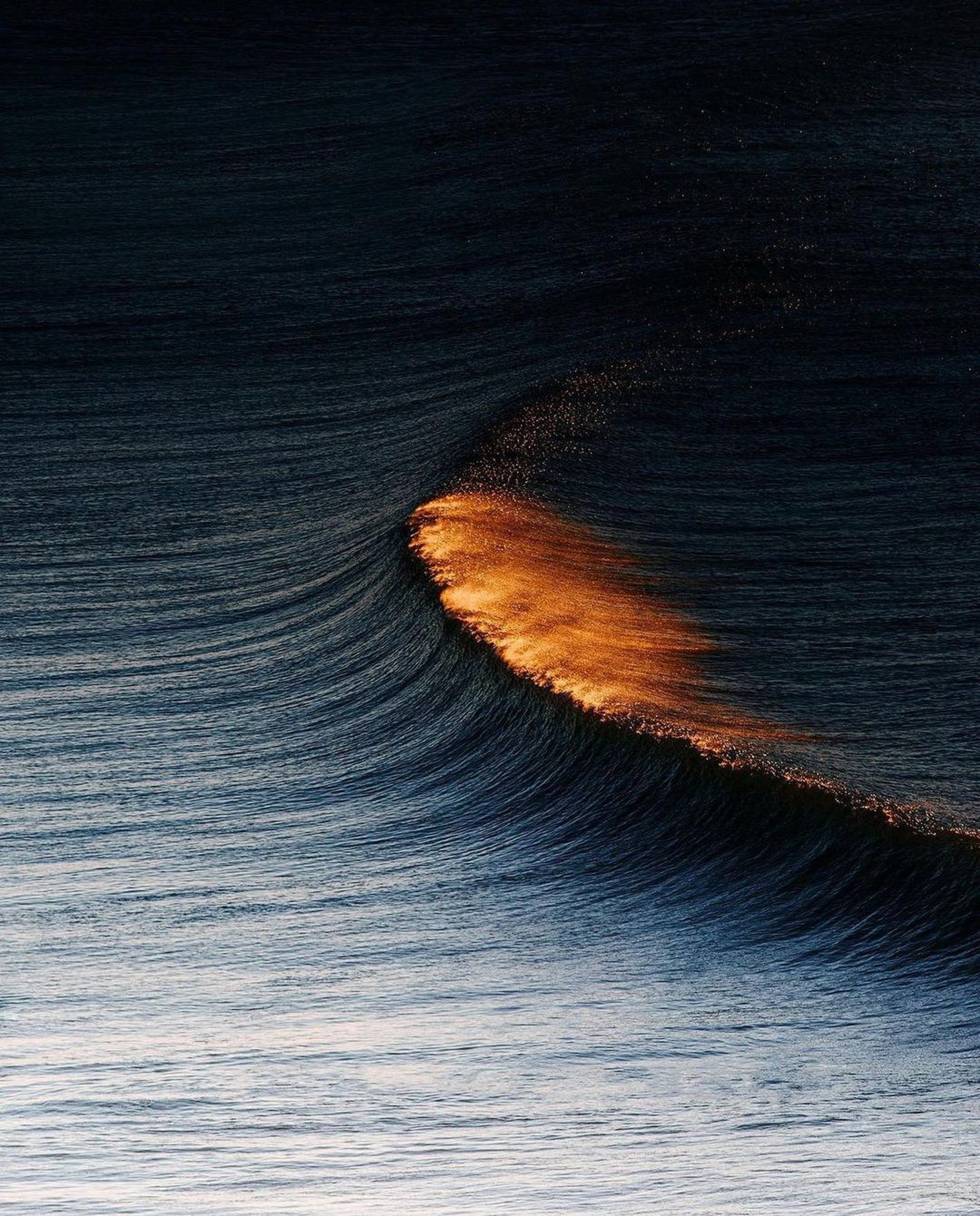 Lunetterie Générale