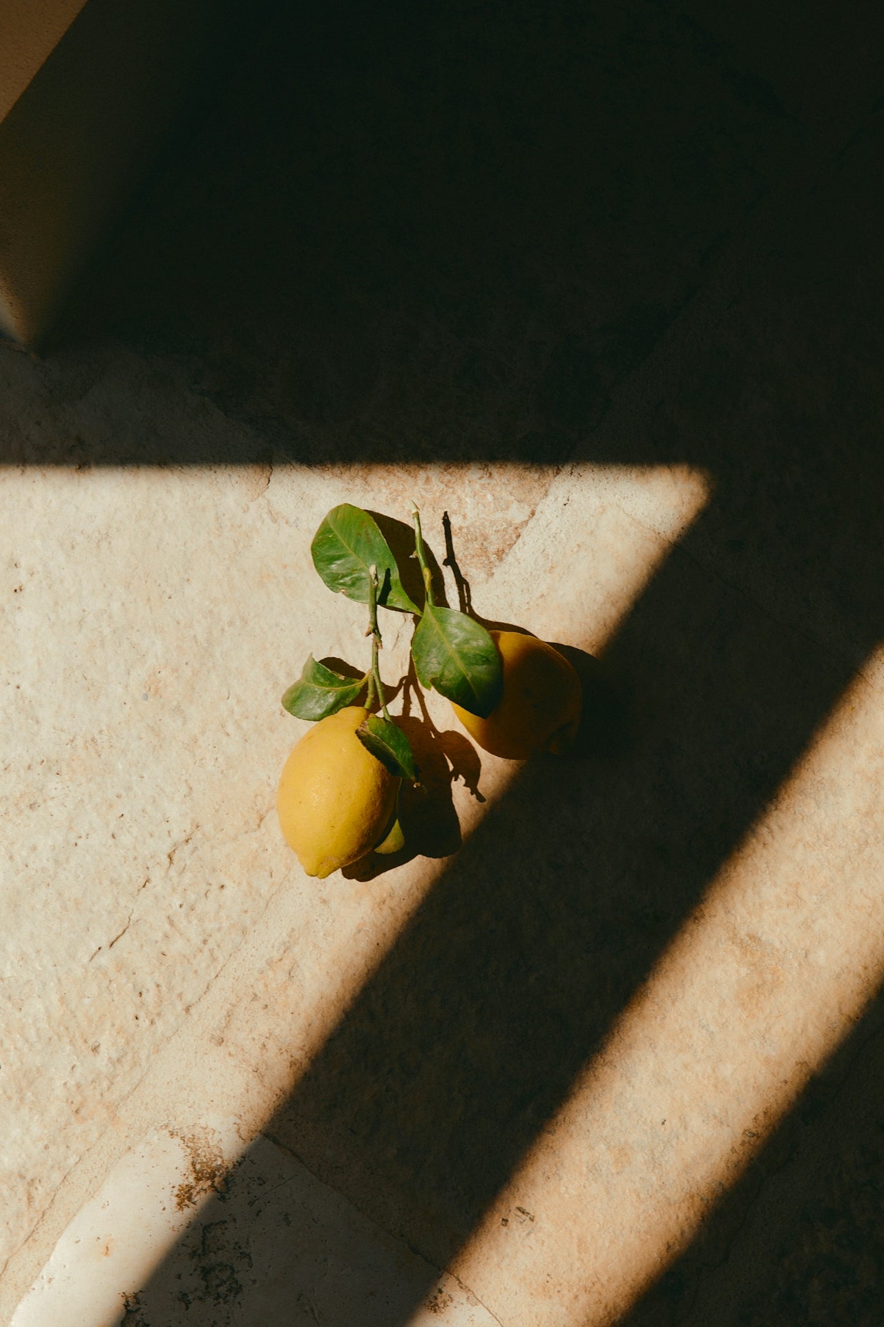 Lunetterie Générale