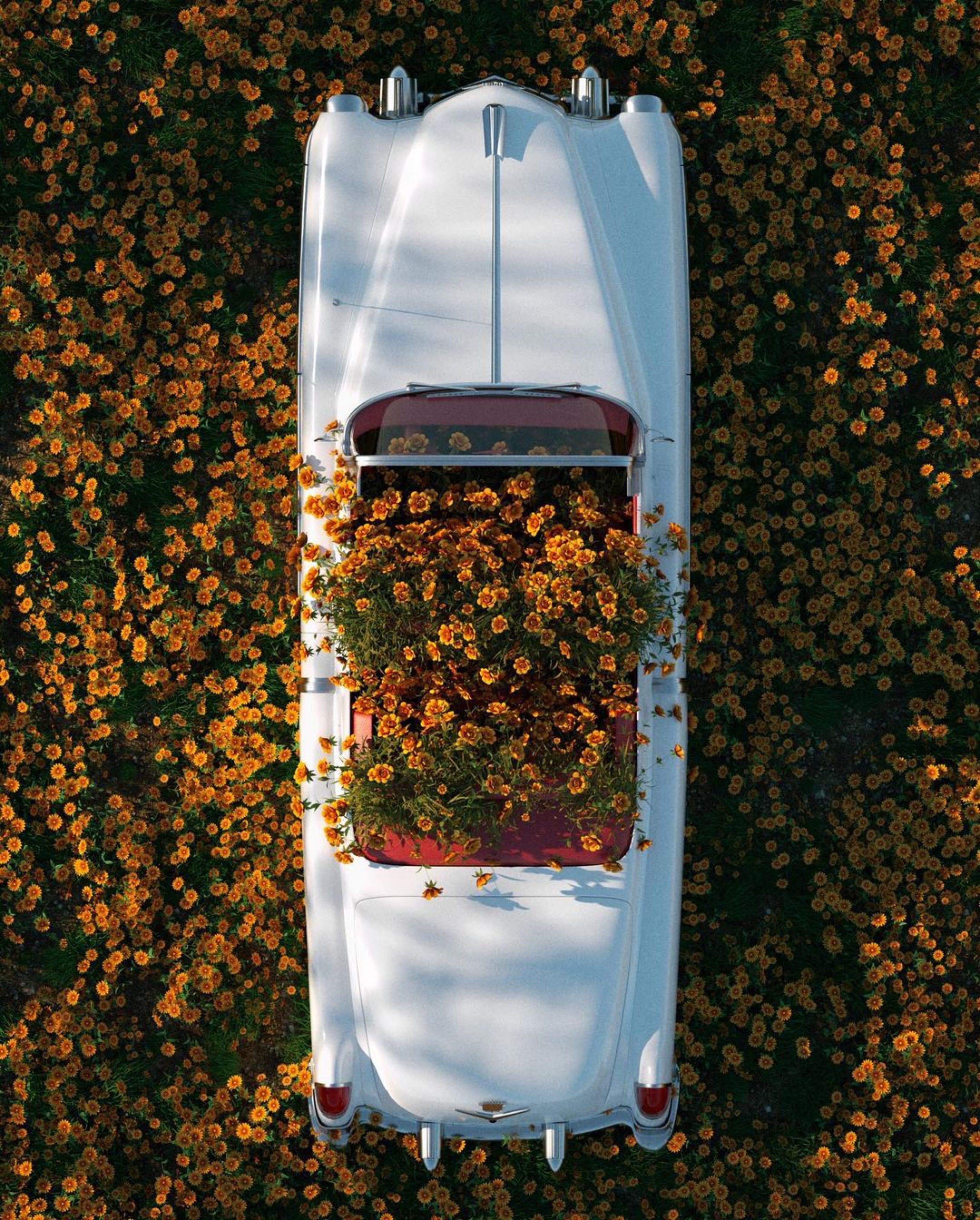 Lunetterie Générale