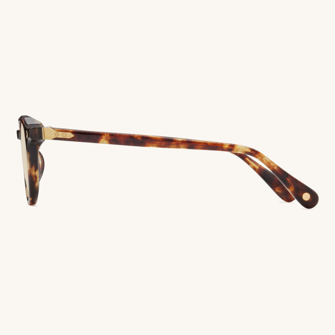 LG-DR-02-SUN-BRN