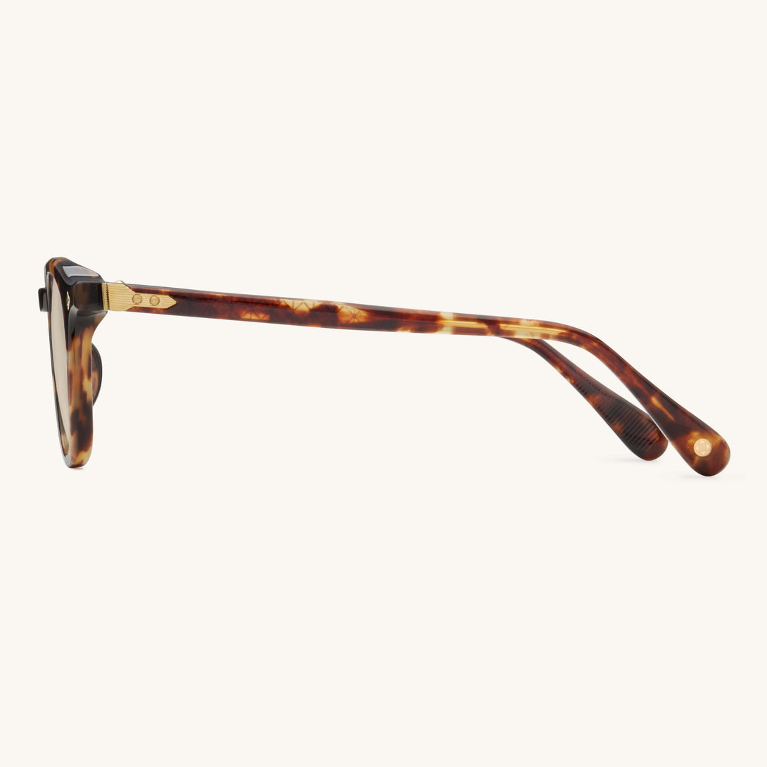 LG-MAESTRO-02-SUN-BRN